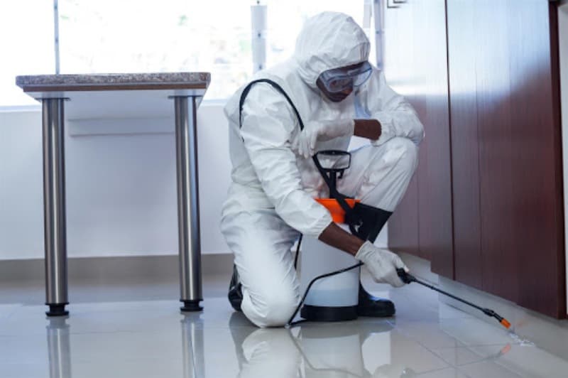 General Pest Control Treatment (Internal and External)